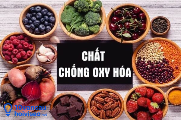 Bổ Sung Chất Chống Oxy Hóa