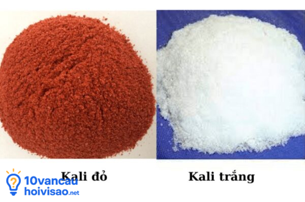 Hình ảnh Phân Kali
