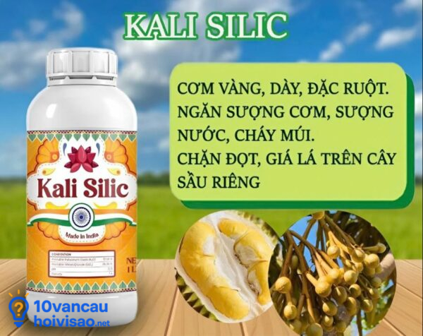 Phân Kali Silic