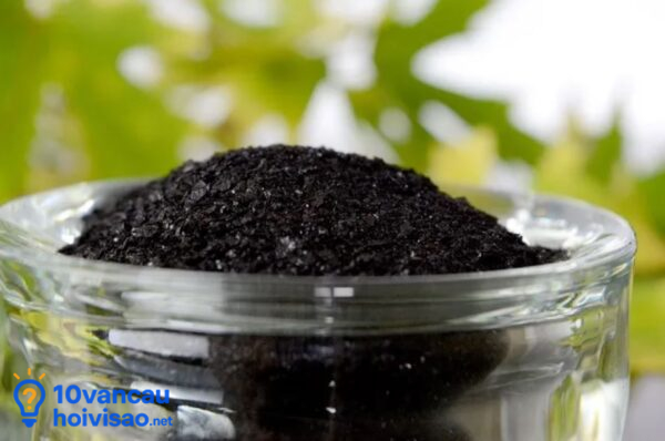 Phân Humic