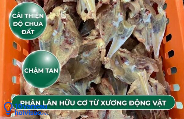 Phân Lân Hữu Cơ Từ Xương động Vật