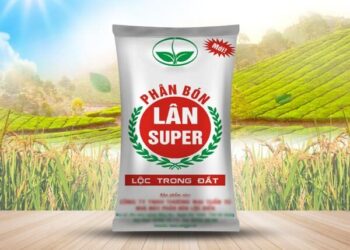 Super Lân Là Gì Có Tác Dụng Gì Giá Bao Nhiêu
