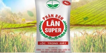 Super Lân Là Gì Có Tác Dụng Gì Giá Bao Nhiêu