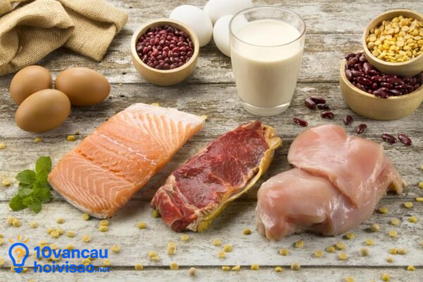 Các Thực Phẩm Chứa đạm Nhiều