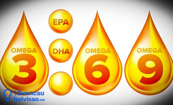 Cần Cân Bằng Lượng Omega 3 6 9