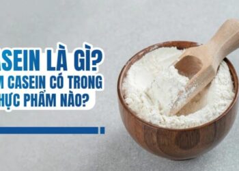 Casein Là Gì Có Tác Dụng Gì Có Trong Thực Phẩm Nào