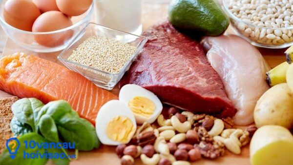 Chất đạm Có ở Trong Thịt Cá Trứng Sữa