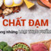 Chất đạm Là Gì Có Tác Dụng Gì Và Có Trong Thực Phẩm Nào