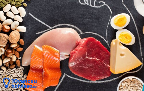 Đạm động Vật Tốt Cho Não Bộ Cơ Bắp Đạm Thực Vật Tốt Cho Tim Mạch
