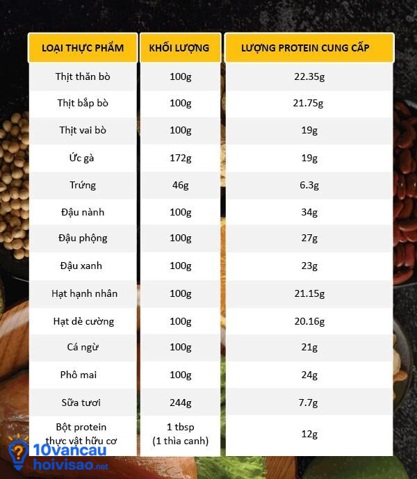 Những Thực Phẩm Giàu Protein