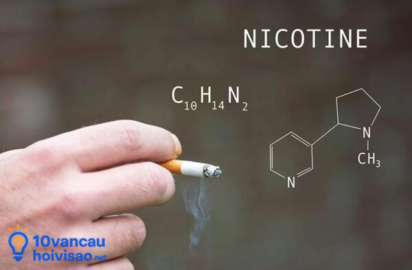 Nicotin Có Trong Thuốc Lá