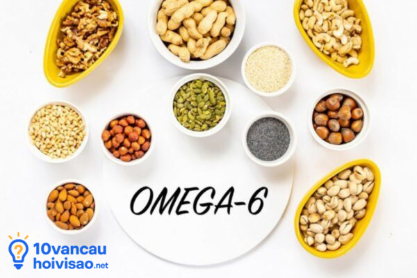 Omega 6 Có Nhiều Trong Các Loại Hạt