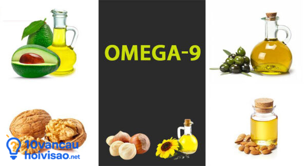 Omega 9 Có Trong Trái Bơ Hạt óc Chó Và Các Loại Dầu