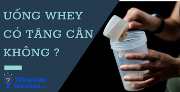 Uống Whey Có Tăng Cân Không