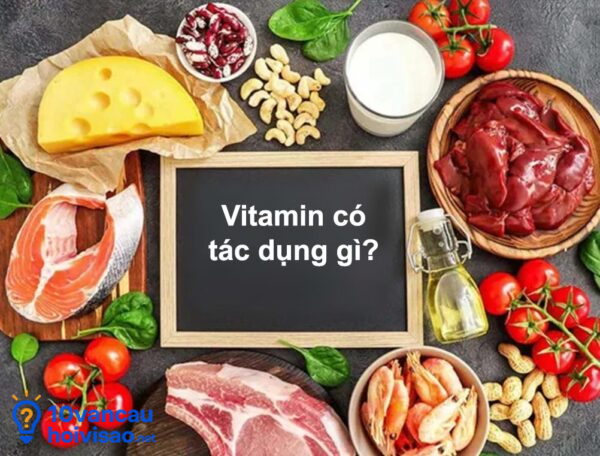 Vitamin Có Tác Dụng Gì