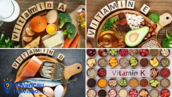 Vitamin Tan Trong Chất Béo