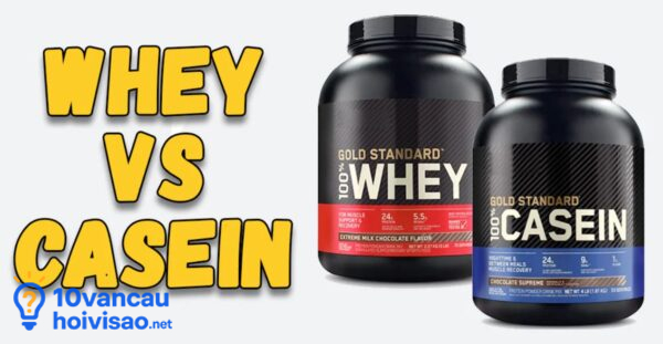Whey Và Casein Khác Nhau Như Thế Nào