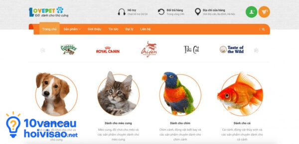 Bán Sản Phẩm Và Dịch Vụ Trên Website