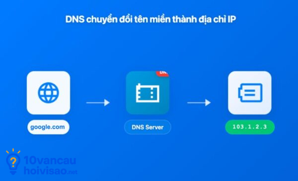 Dns Và địa Chỉ Ip