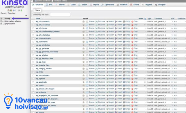 Database Website