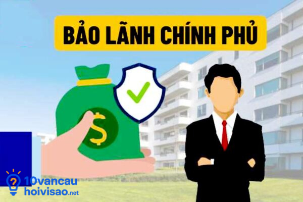 Doanh Nghiệp Vay Nợ được Chính Phủ Bảo Lãnh