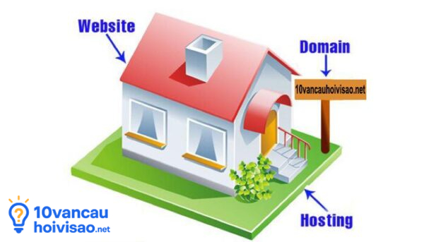 Domain Và Hosting