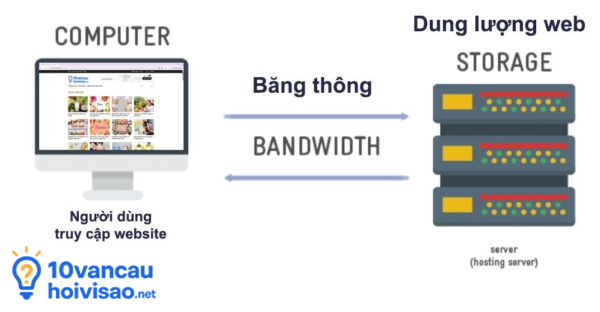 Dung Lượng Web Và Băng Thông