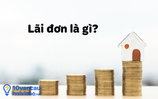 Lãi đơn