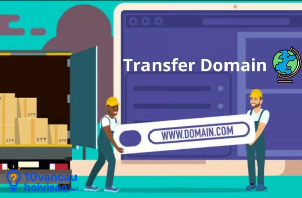 Tranfer Domain