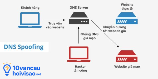 Dns Spoofing