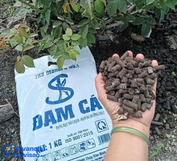 Bổ Sung đạm Cá Dạng Viên Cho Cây