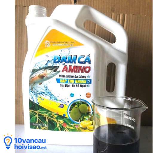 Đạm Cá Dạng Nước