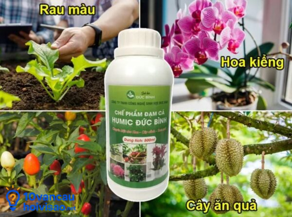 Đạm Cá Sử Dụng được Cho Hầu Hết Các Loại Cây Trồng