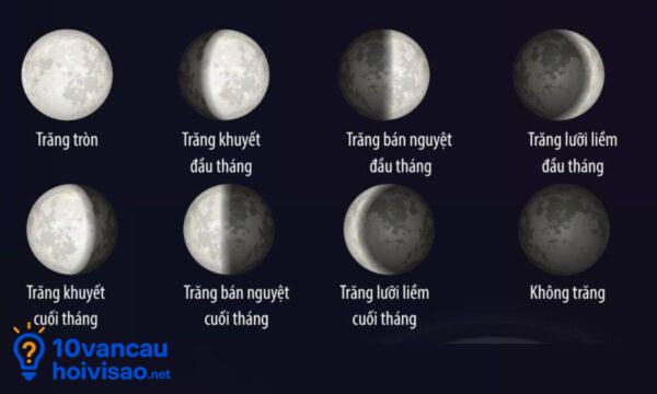 Âm Lịch Dựa Trên Chu Kỳ Mặt Trăng