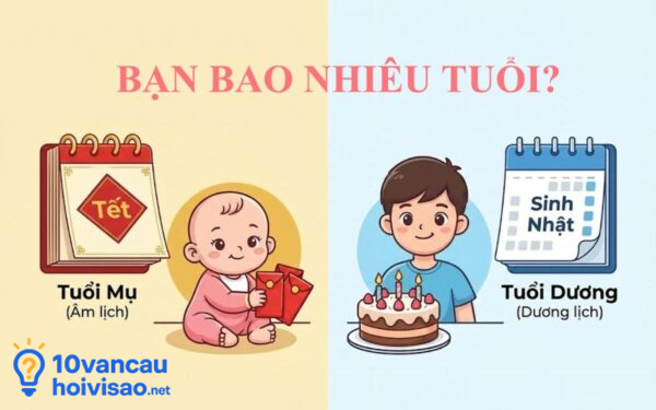 Bạn Bao Nhiêu Tuổi