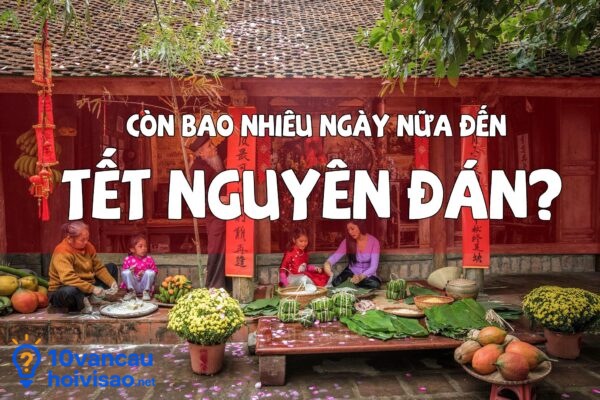 Còn Bao Nhiêu Ngày Nữa Tới Tết Nguyên Đán Đếm Ngược Tới Tết